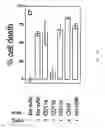 Fig. 08 - Vectors for molecule delivery to CD11b expressing cells