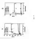 Fig. 09 - Vectors for molecule delivery to CD11b expressing cells