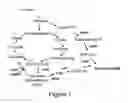 Fig. 02 - Recombinant hosts and methods for manufacturing polyhydroxyalkanoate