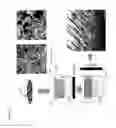 Fig. 02 - In situ tissue engineering using magnetically guided three dimensional cell patterning