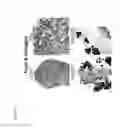 Fig. 07 - In situ tissue engineering using magnetically guided three dimensional cell patterning