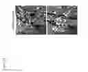 Fig. 22 - In situ tissue engineering using magnetically guided three dimensional cell patterning