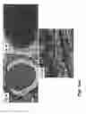 Fig. 05 - Methods of culturing cells in a medium comprising transforming growth factor beta 1 and basic fibroblast growth factor