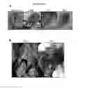 Fig. 06 - PLANT BIOCHEMICAL SYSTEMS AND USES THEREOF