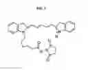 Fig. 02 - Macrocyclic HOPO chelators