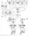Fig. 02 - Automated device provisioning and activation