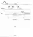 Fig. 09 - Method and system of radio frequency (RF) power transmission in a wireless network