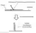 Fig. 01 - Quantitative, Highly Multiplexed Detection of Nucleic Acids