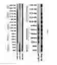Fig. 10 - Methods for diagnosing prostate cancer using MicroRNAs