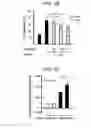Fig. 05 - Itch suppressant