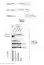 Fig. 08 - Polypeptides and nucleic acids for treating ErbB2-dependent cancers