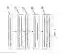Fig. 02 - METHOD AND KIT FOR GASTRO-INTESTINAL CLEANSING