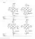 Fig. 02 - Substituted porphyrins