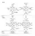 Fig. 06 - Substituted porphyrins