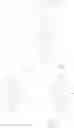 Fig. 19 - Substituted porphyrins