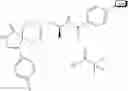 Fig. 79 - Isoform selective phospholipase D inhibitors