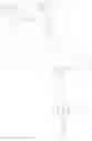 Fig. 19 - Active metabolite of a thrombin receptor antagonist