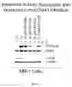 Fig. 08 - Compounds for treatment of cell proliferative diseases