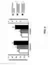 Fig. 03 - METHODS AND COMPOSITIONS FOR IMPROVING COGNITIVE FUNCTION