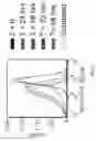 Fig. 09 - Bacteriophage T4 Nanoparticles for Eukaryotic Delivery