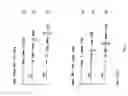 Fig. 09 - Modified L-Nucleic Acid
