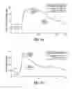 Fig. 06 - Cysteine for physiological injection