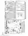 Fig. 06 - Cancer screening by detection of ultrastructural and molecular markers