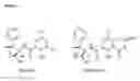 Fig. 02 - Synthetic mycotoxin adsorbents and methods of making and utilizing the same