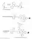 Fig. 01 - Preparation of phalloidin and its derivatives