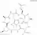 Fig. 09 - Preparation of phalloidin and its derivatives