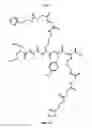 Fig. 08 - Methods and compositions for F-18 labeling of proteins, peptides and molecules