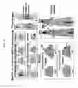 Fig. 22 - Methods and compositions for F-18 labeling of proteins, peptides and molecules