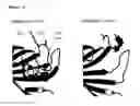 Fig. 02 - High stability streptavidin mutant proteins