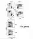 Fig. 37 - COMPOSITIONS AND METHODS FOR MODULATING LYMPHOCYTE ACTIVITY