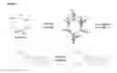 Fig. 07 - Use of metal complexes