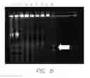 Fig. 06 - Devices and methods for the purification, isolation, desalting or buffer/solvent exchange of substances