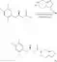 Fig. 20 - Method of preparing sitagliptin and intermediates used therein