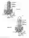 Fig. 07 - Method and apparatus for treatment of erectile dysfunction with extracorporeal shockwaves