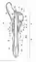Fig. 06 - Urinary incontinence device and method