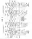 Fig. 04 - Content addressable memory