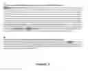 Fig. 06 - METHOD FOR MODULATING PLANT GROWTH, NUCLEIC ACID MOLECULES AND POLYPEPTIDES ENCODED THEREOF USEFUL AS MODULATING AGENT