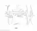 Fig. 02 - Self-adhering perspiration diverter