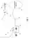 Fig. 02 - METHOD FOR KILLING TICKS AND OTHER VECTORS USING A HEATED WATER SYSTEM