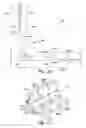 Fig. 03 - Tiled transition bracketing