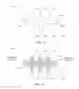 Fig. 02 - MICROFLUIDIC DEVICES FOR ANALYZING CELL MOTILITY