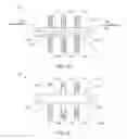 Fig. 04 - MICROFLUIDIC DEVICES FOR ANALYZING CELL MOTILITY