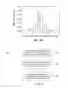 Fig. 09 - MICROFLUIDIC DEVICES FOR ANALYZING CELL MOTILITY