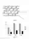 Fig. 02 - Sorbent articles for COcapture