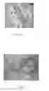 Fig. 09 - Methods and composition for boride distribution in metal matrix composite