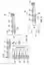 Fig. 11 - Drill string adapter and method for inground signal coupling